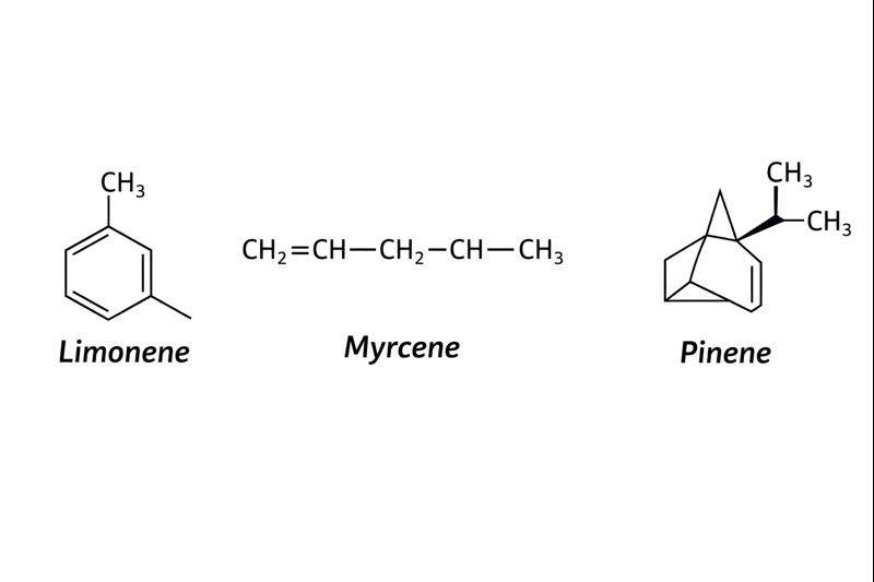 Revolutionizing Your Brewing Process with Hop Terpenes